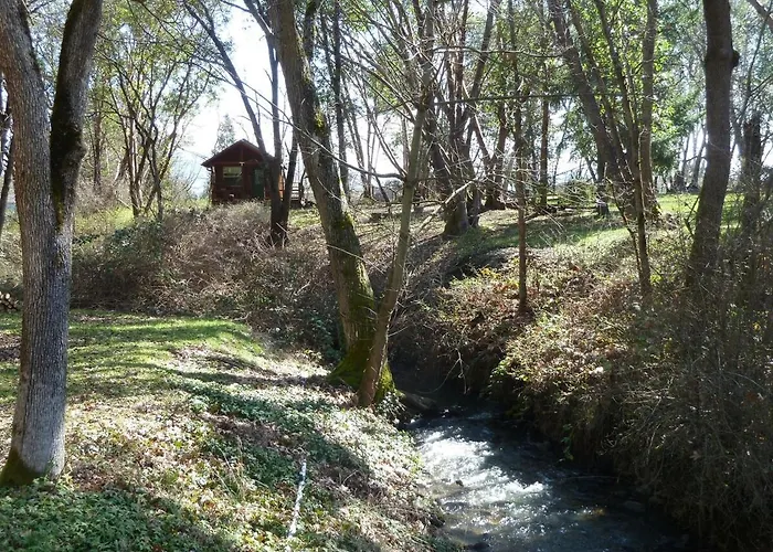 Creekside Cabin